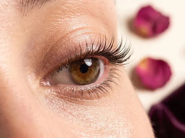 Lifted lashes with a defined curl and no extensions, at Niospa Orlando